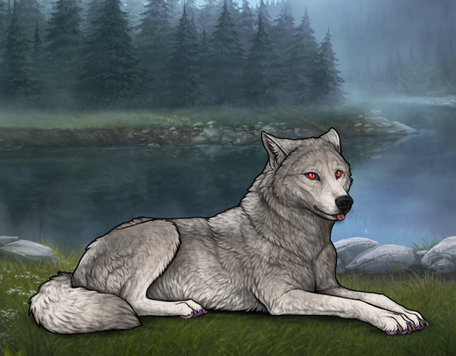this is what your wolf may look like